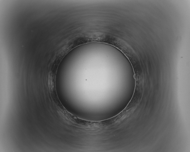 X0000115531058200911061436