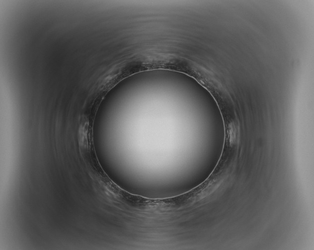 X0000115531059200911061436