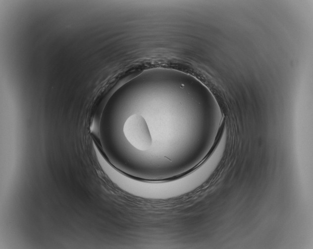 X0000115531060200911061436