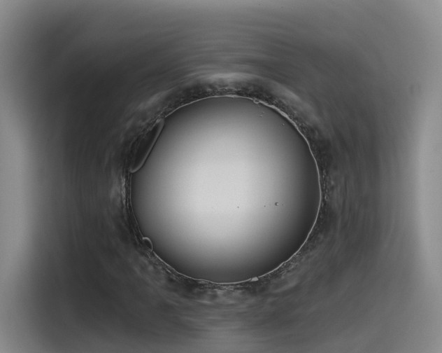 X0000115531061200911061436