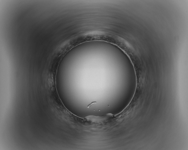 X0000115531062200911061436