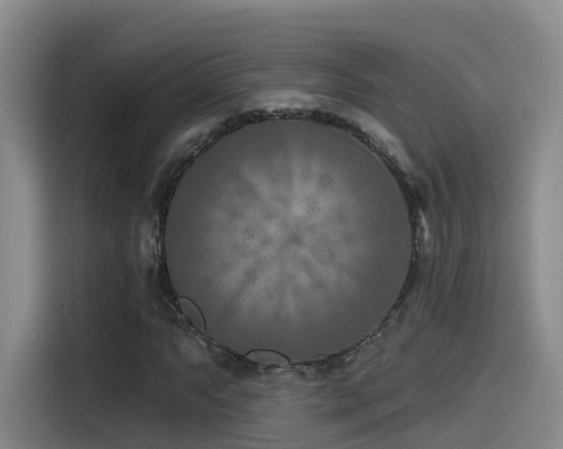 X0000115531063200911061436