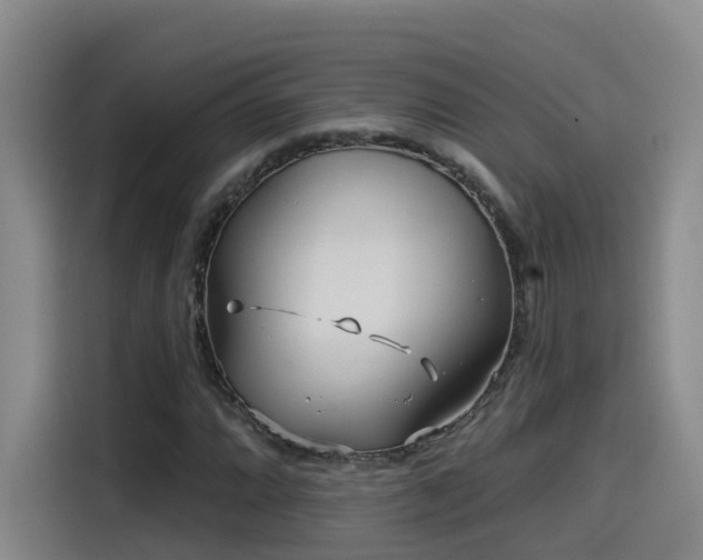 X0000115531064200911061436
