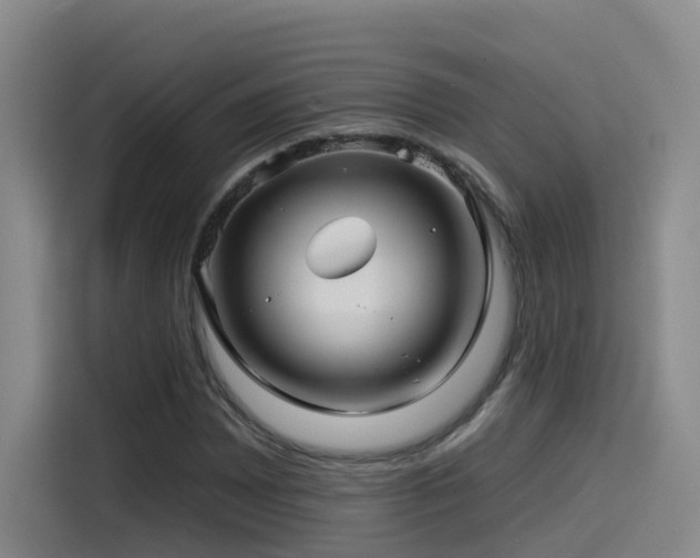 X0000115531065200911061435