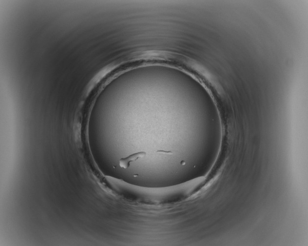 X0000115531066200911061435