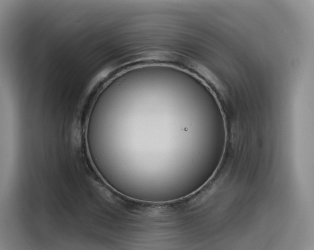 X0000115531067200911061435