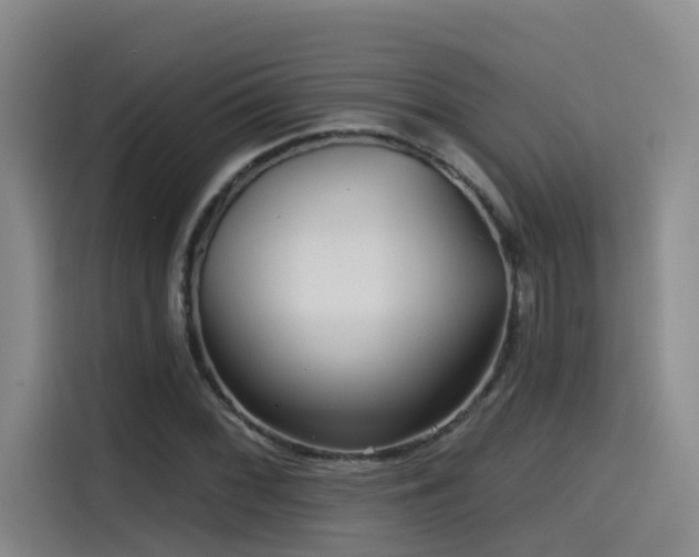 X0000115531068200911061435