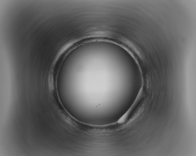X0000115531069200911061435