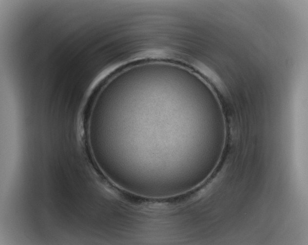 X0000115531070200911061435