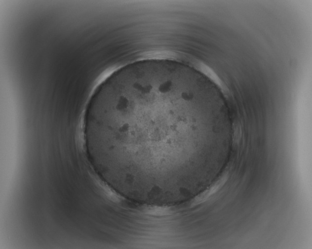 X0000115531071200911061435
