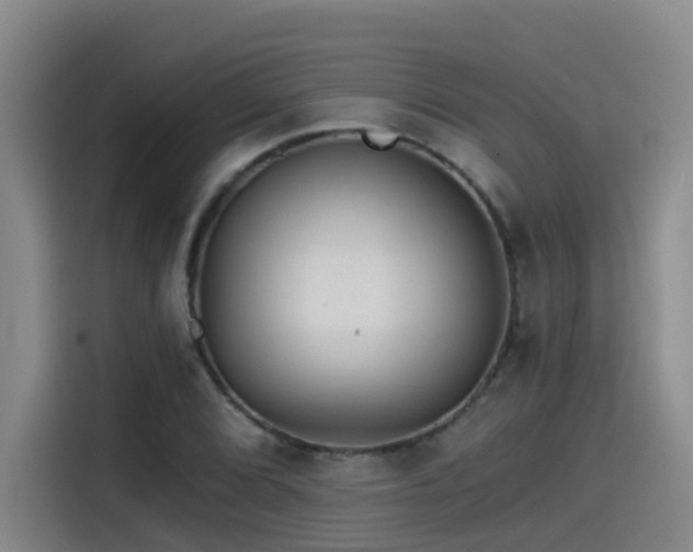 X0000115531072200911061435