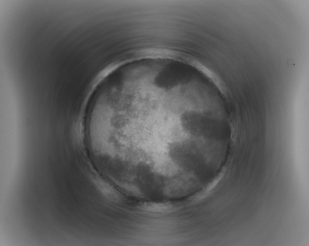 X0000115531074200911061435