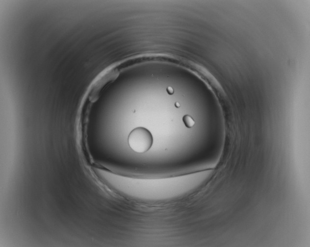 X0000115531076200911061435