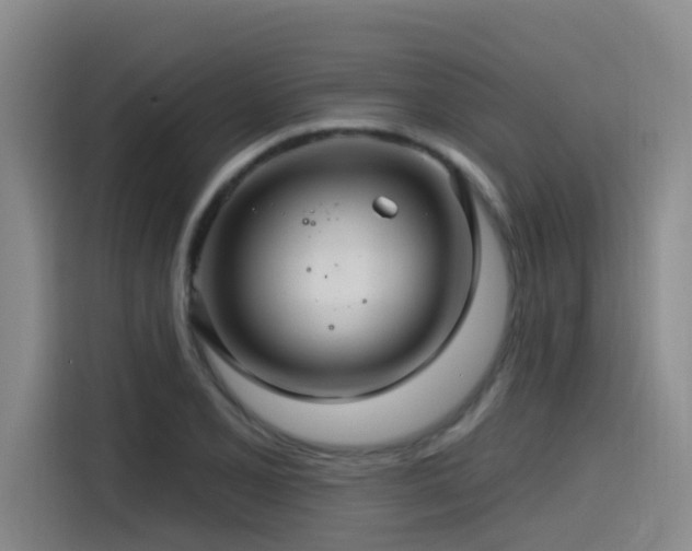 X0000115531077200911061435