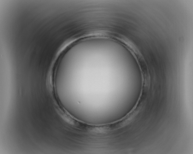 X0000115531078200911061435