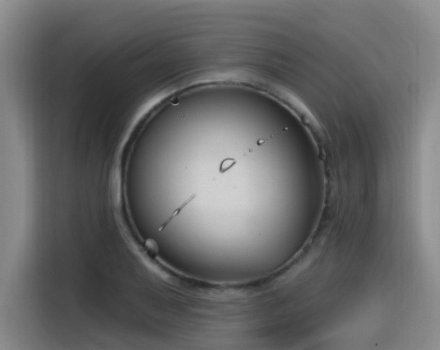 X0000115531079200911061435