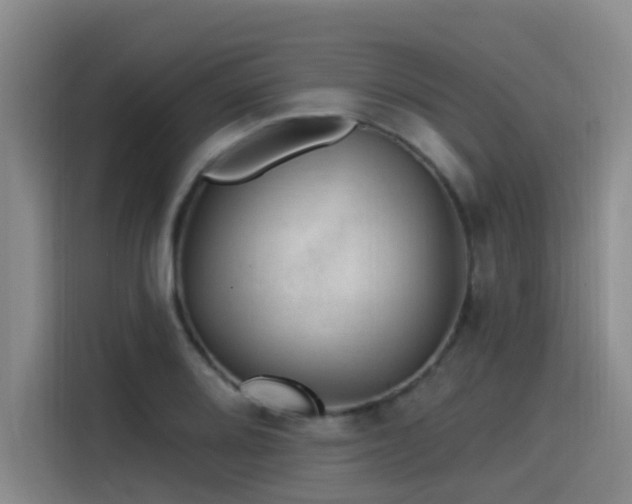 X0000115531080200911061435