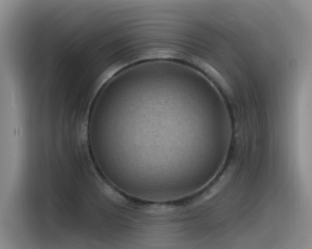 X0000115531081200911061435
