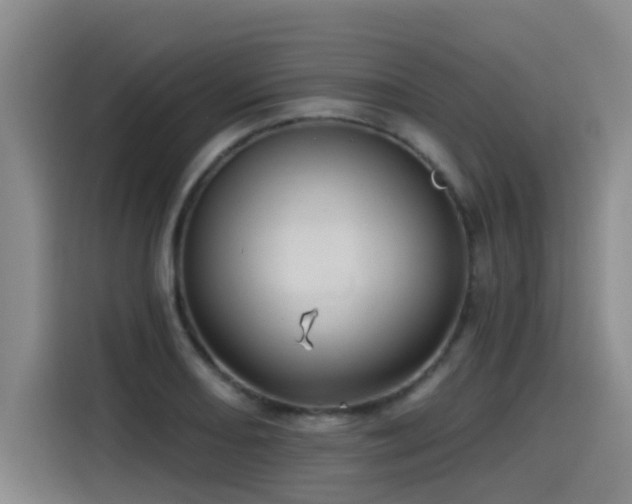 X0000115531082200911061435