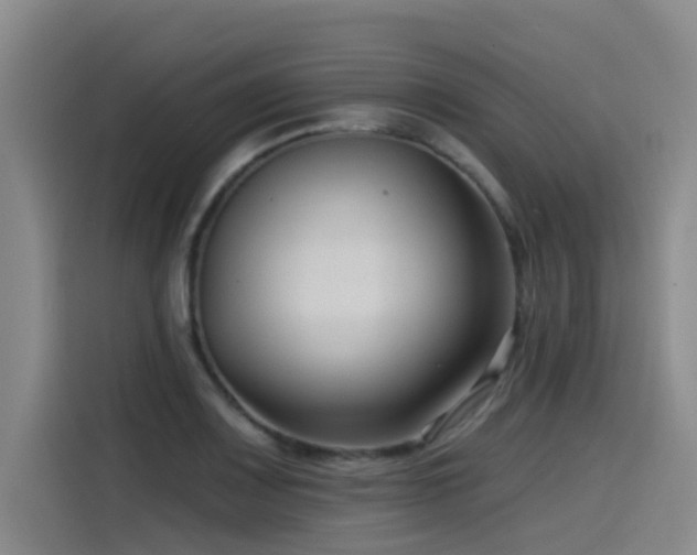 X0000115531083200911061435