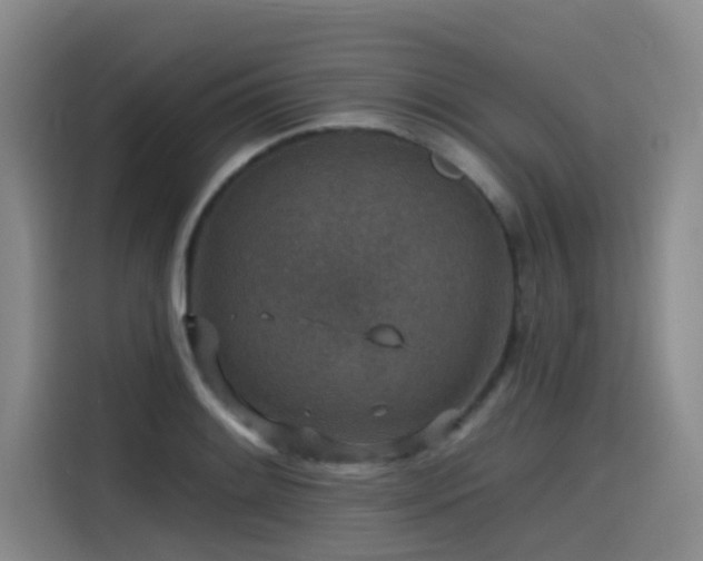 X0000115531084200911061435