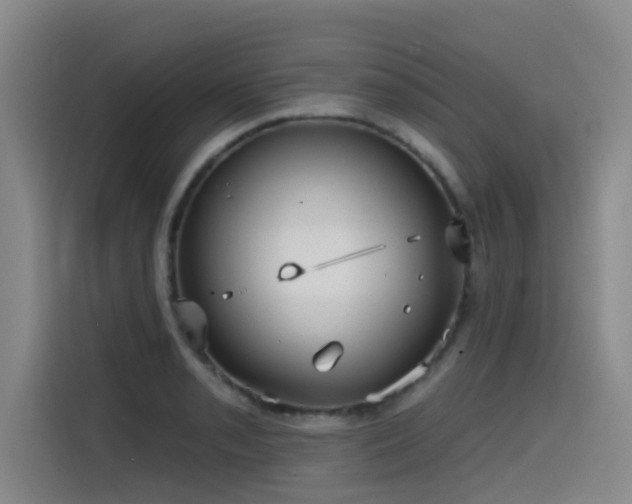 X0000115531085200911061435