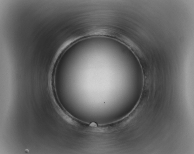 X0000115531086200911061435