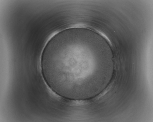 X0000115531087200911061435