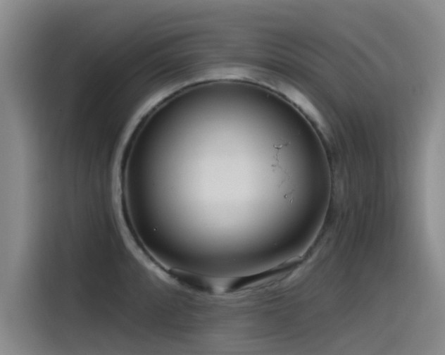 X0000115531088200911061435