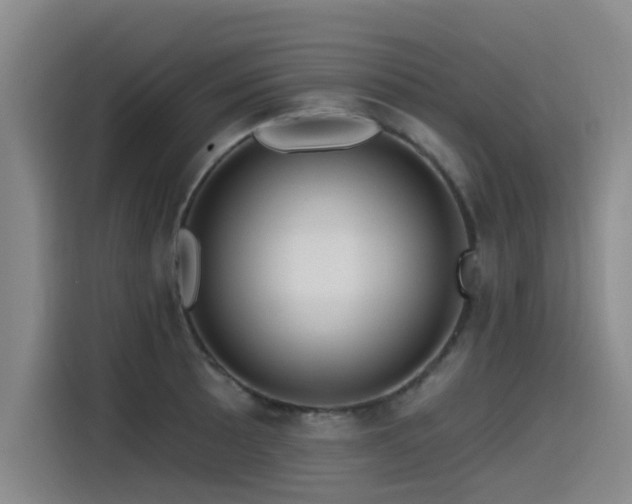 X0000115531089200911061435