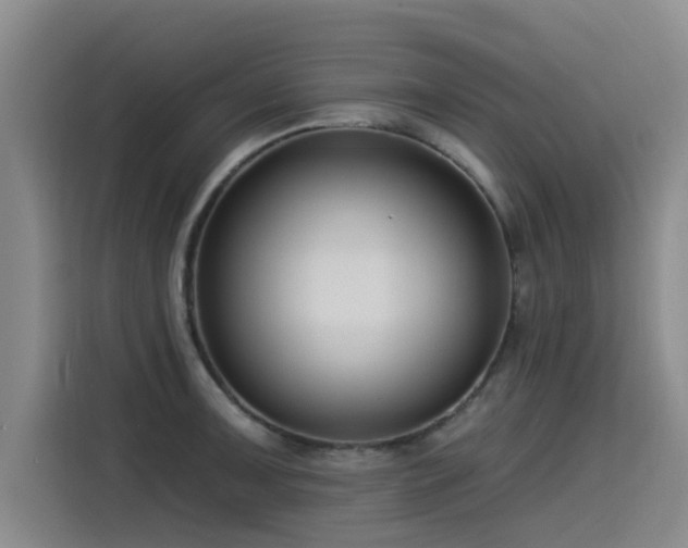 X0000115531091200911061435