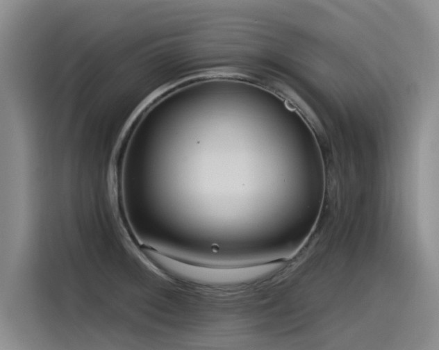 X0000115531092200911061435