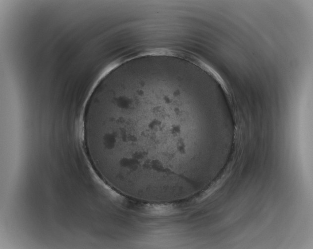 X0000115531095200911061435