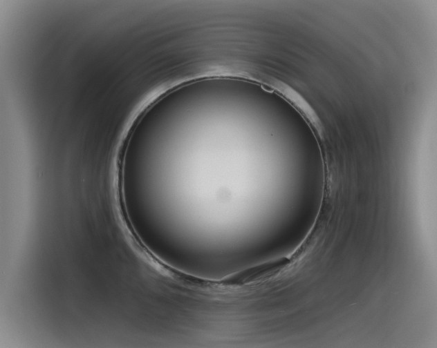 X0000115531096200911061435