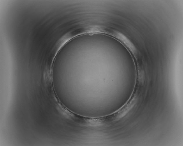 X0000115531097200911061435
