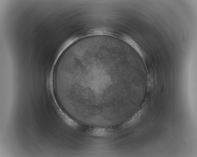 X0000115531098200911061435