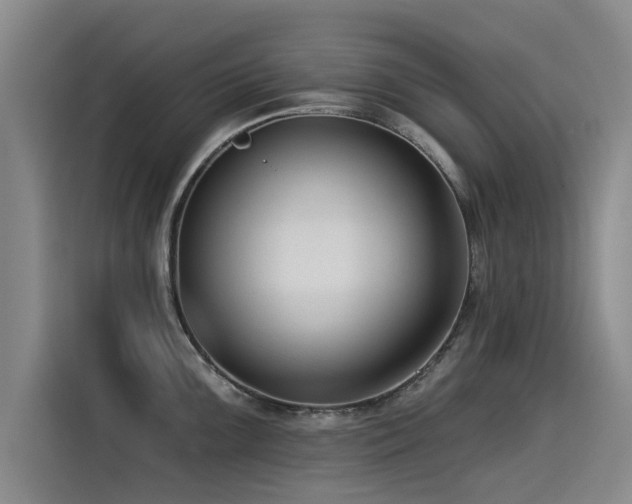 X0000115531099200911061435