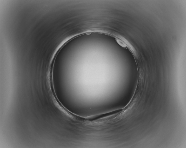 X0000115531100200911061435