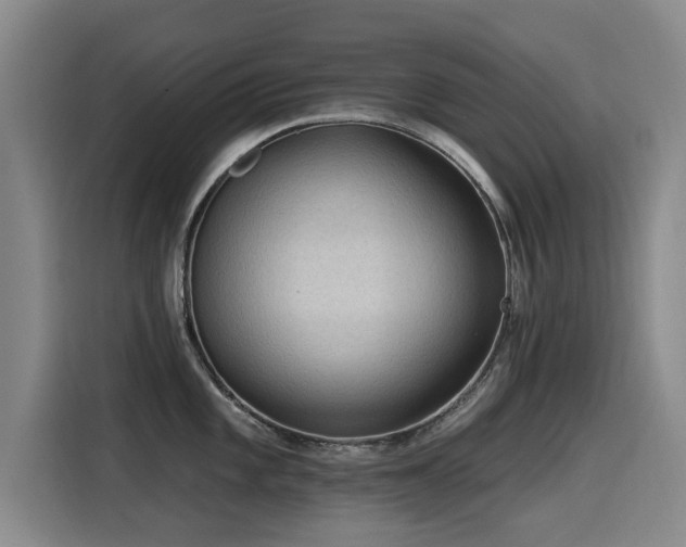 X0000115531101200911061435