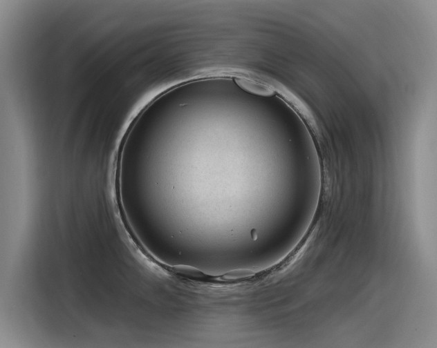 X0000115531102200911061435