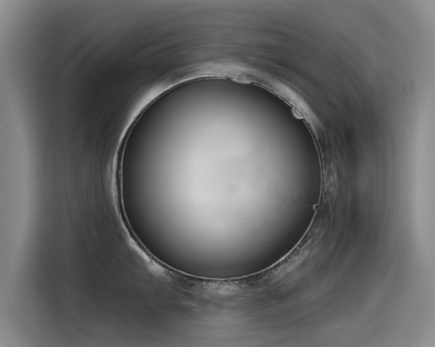 X0000115531103200911061435