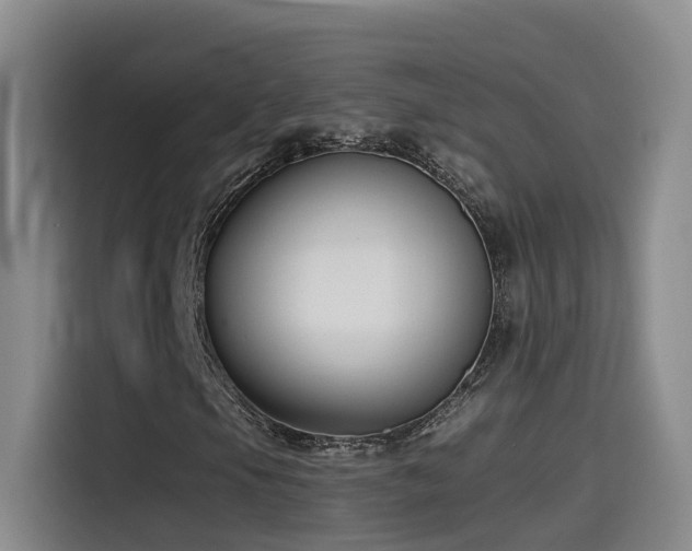 X0000115531105200911061434