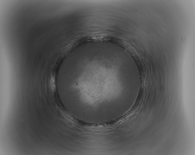 X0000115531106200911061434