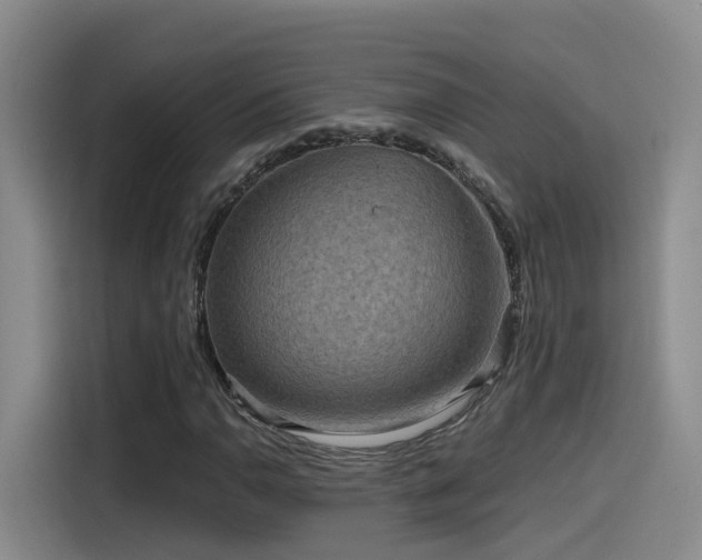X0000115531110200911061434