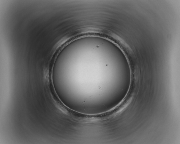 X0000115531113200911061434