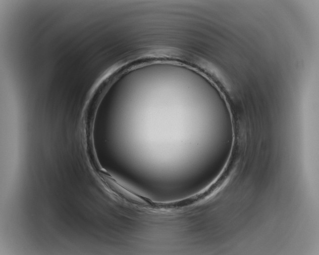 X0000115531114200911061434
