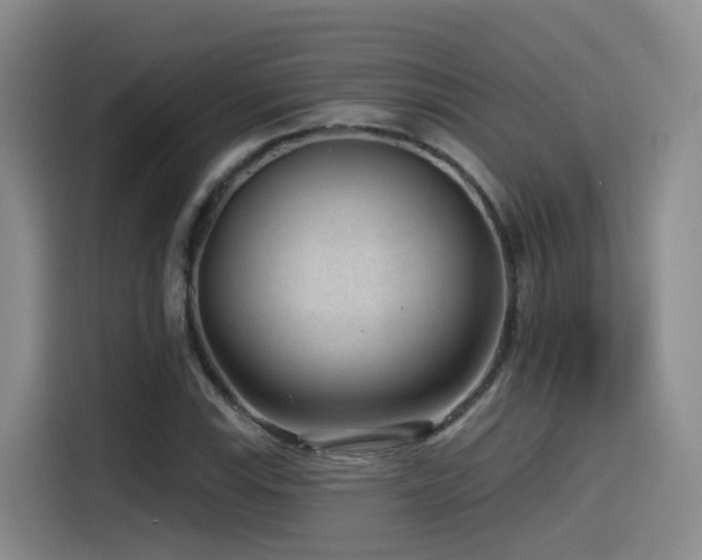 X0000115531115200911061434
