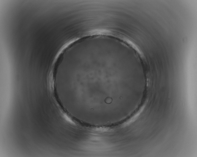 X0000115531117200911061435