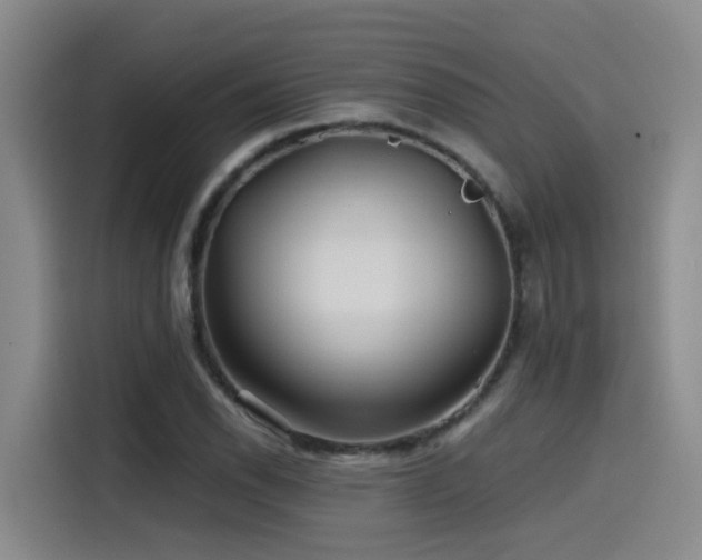 X0000115531118200911061435