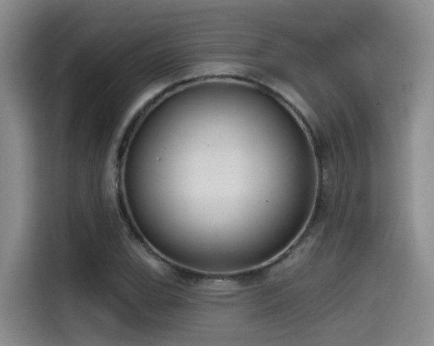 X0000115531119200911061435
